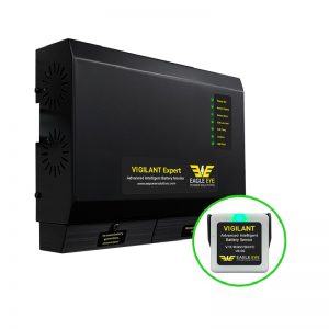 Monitoreo en Linea de Bancos de Batería - Mod. Vigilant